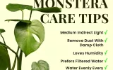 urban gardening tips
