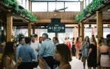 albion-use-artificial-plants