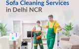 sofa cleaning service