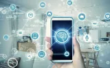 Web, Mobile App Development