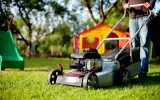 Lawn Mowing 