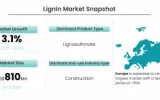 Lignin Market
