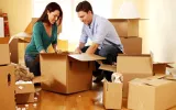 professional movers and packers