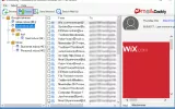 thunderbird to outlook