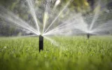 The Billy Goat is the premier lawn maintenance, landscaping and tree service company. We've been providing great services for the last 15 years.
