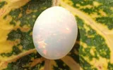 Buy Moonstone online