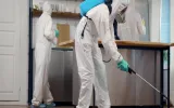 Pest Control Near Me