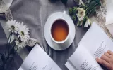 If you are determined to jump into the deep ocean of fictional writing, the best books on writing fiction are pretty near to being your best friends. 