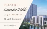 prestige-lavender-fields