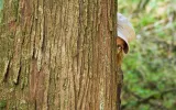 detective agency in delhi