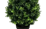 Elevate Your Indoor Gardening With Indoor Plant Pots