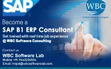 SAP B1 service partners
