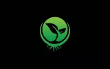 Seeds Here Now
