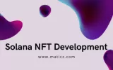 Solana NFT development