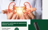 indovasive