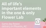 Flower delivery Scottsdale