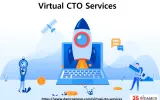 CTO Advisory services