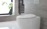 Wall mounted toilet