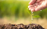 watering-soil-image