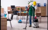 cleaners