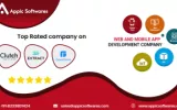 Appic Softwares services banner.