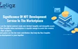 NFT Token Development