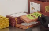 California’s Organic Chocolate Craze Goes Global: A Taste of Wellness